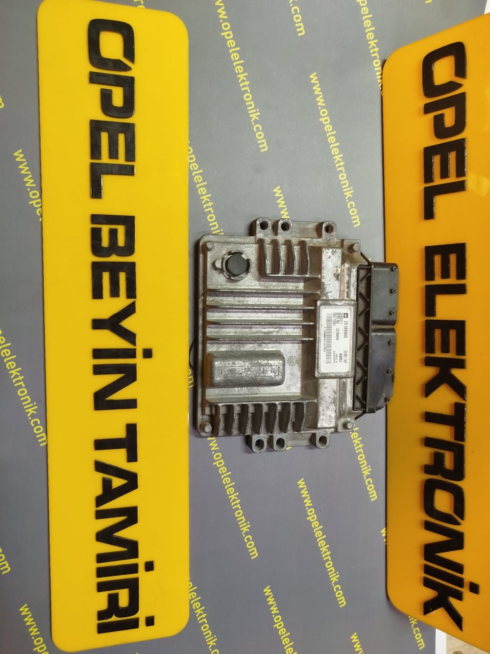 25189960 Captiva Motor Beyni